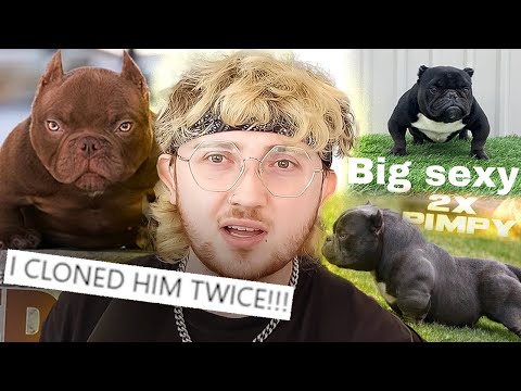 Instagram Dog Breeders Should Be Illegal
