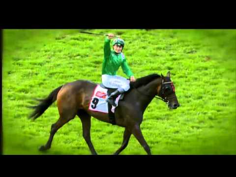 James McDonald - An Auckland Cup Week to remember!