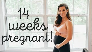 14 WEEKS PREGNANT | DOWN SYNDROME TEST RESULTS | Hayley Paige