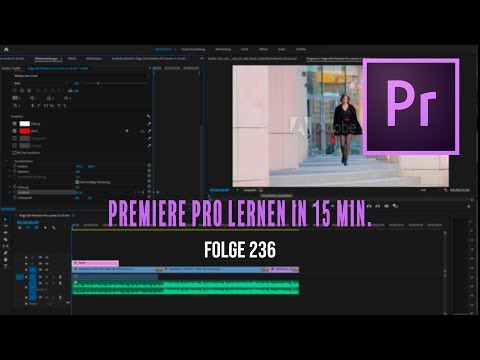 Adobe PREMIERE PRO CC 2019 Einstieg in nur 15 MINUTEN # Folge 236