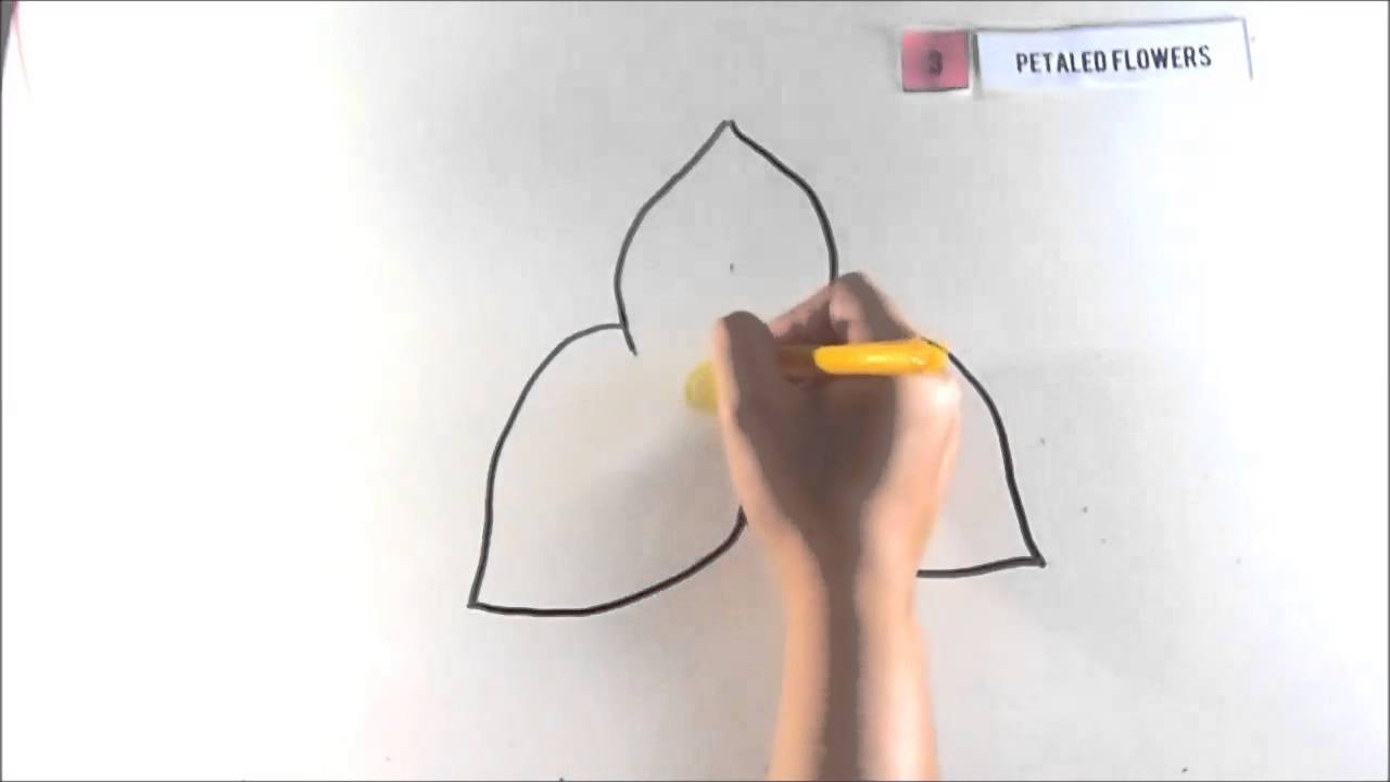 Fibonacci Sequence in Flowers