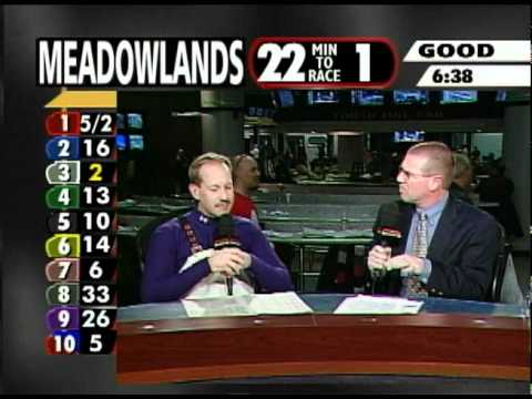 In the Sulky - David Miller