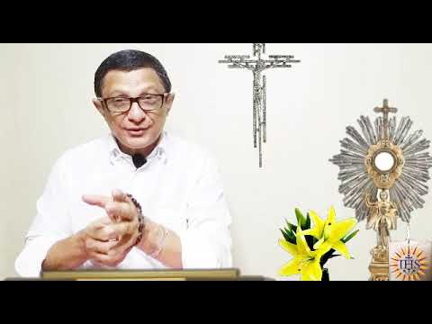 Evangelho do Dia 21/08 Liturgia da Palavra - Leitura de Hoje - Liturgia Diária - Evangelho de Hoje