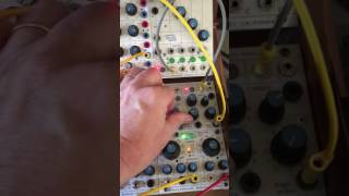 Video thumbnail for Buchla 261e Instant Transformation by Todd Barton