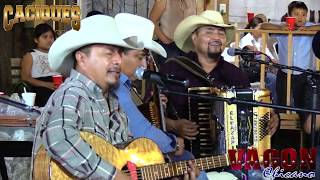 Srita Cantinera Lyrics English Translation