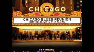 Chicago Blues Reunion (Sam Lay) - Hound Dog & Roll Over Beethoven