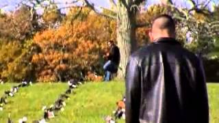 Robert Cray - Twenty