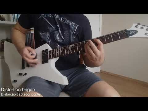 Chinese ESP replica unboxing and test (Snakebyte James Hetfield)