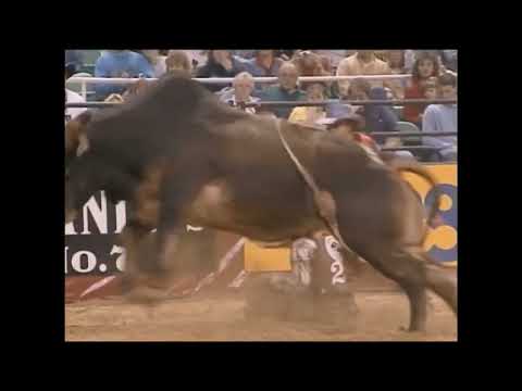 Copperhead bucks K.J. Pletcher - 99 PBR Greensboro