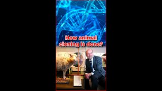 Evidence of Ancient Cloning Technology!!! 🔥Wow😲