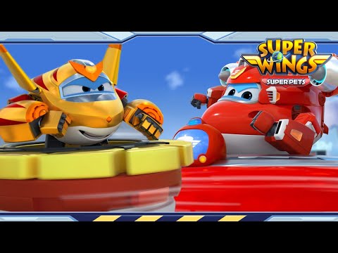 Witness21 Editor  2022 08 06