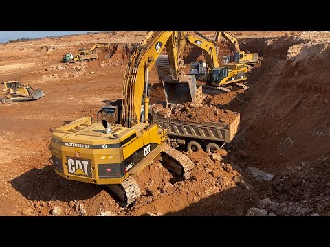 Caterpillar 365C Excavators Working By Side