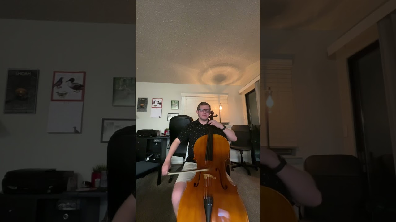Promotional video thumbnail 2 for Allegro's