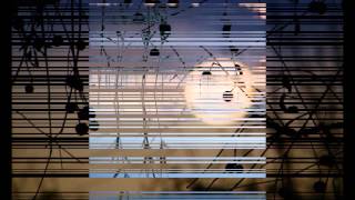 ZONA DE FUEGO 05 2015