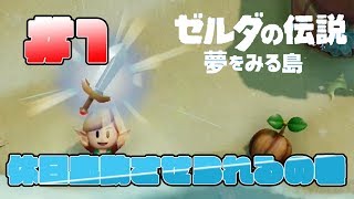 【ゼルダの伝説 夢をみる島】#１　発売初日に休日出勤させられるの巻