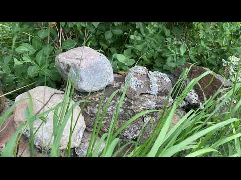 Stone Wall / Kallmur in Sweden