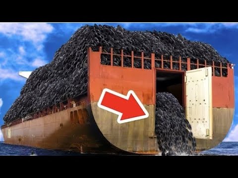 🔴Live🔴 | DOKUMENTAR | FAKTE INTERESANTE | KURIOZITETE SHQIP , , |🔴Live 🔴