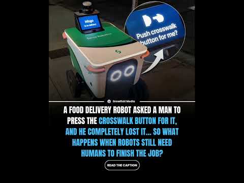🚨 Delivery Robot Asked for Help at a Crosswalk and Got Rejected