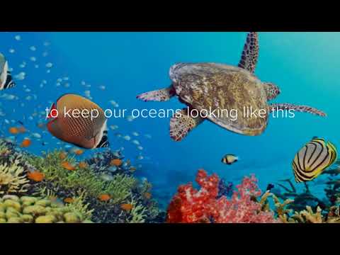 Plastic Straw Campaign