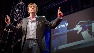 Grégoire Courtine: The paralyzed rat that walked