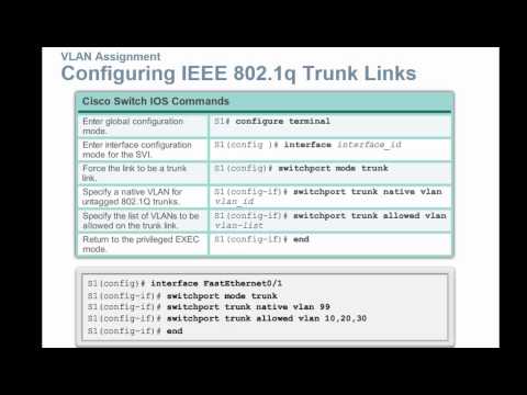 NET 126 Chapter 3 VLANS   VLAN Implementation