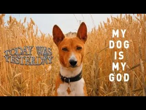 Today Was Yesterday (feat. Alex Lifeson) - My Dog Is My God (Official Visualizer)