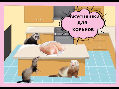 Рецепт лакомства для хорьков и кошек!Как вялить мясо!?