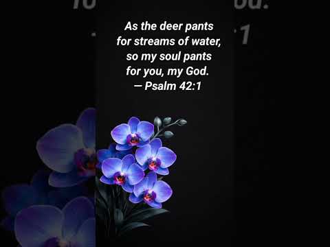 You alone are my heart's desire 🙏 #prayer #motivation #shortvideo