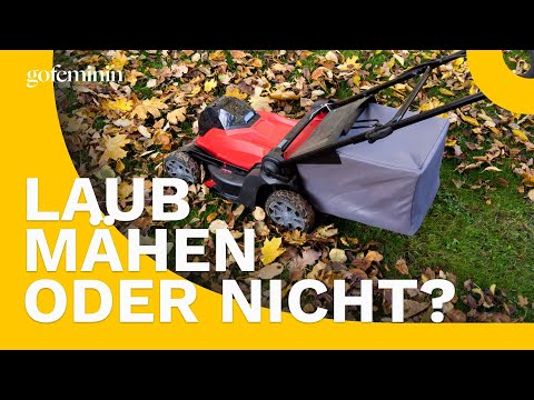 Ist Laub mähen sinnvoll oder nicht?