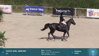 Video of Coco Girl Kervec