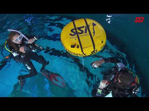 Controlled Descent with Dive Buddy | Recreational Skills