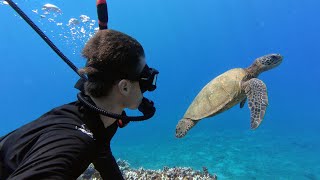 I Explored Hawaii’s CRAZIEST Diving Spots! Here’s What I Found…