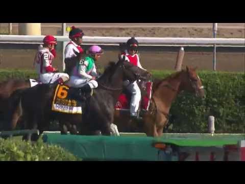 Flintshire wins the Sword Dancer Stakes