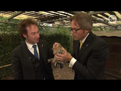 Het Verhaal van de Gelderse Vallei (13 januari 2020) E12 - S06 * Ridders van Gelre