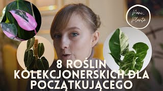 8 roślin kolekcjonerskich dla początkujących