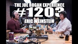 JRE 1203 - Eric Weinstein
