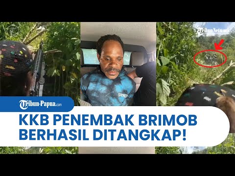 Detik-Detik Penangkapan Komandan KKB Penembak Anggota Brimob di Nabire