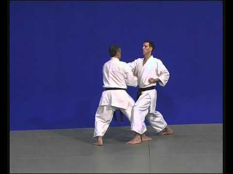 9  bunkaï meikyo IV