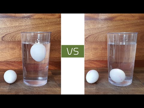 Good vs Bad Eggs - An easy method to test if eggs are still edible and good