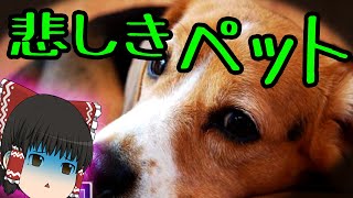 ペット　悲しみの ゆっくり実況