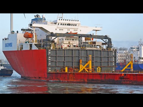 HEAVY LOAD CARRIER "TRUSTEE" ARRIVES AT ROTTERDAM PORT - 4K SHIPSPOTTING FEBRUARY 2023