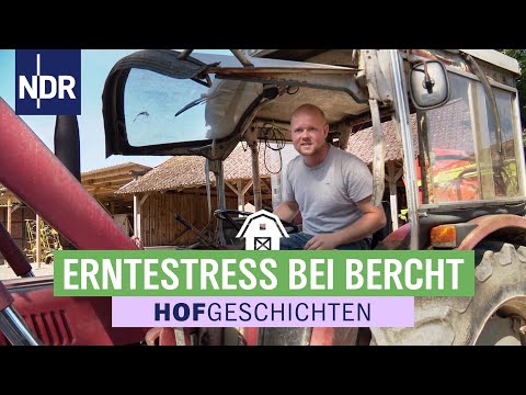 Die Landmaschinen laufen rund um die Uhr | Hofgeschichten: Leben auf dem Land (289) | NDR