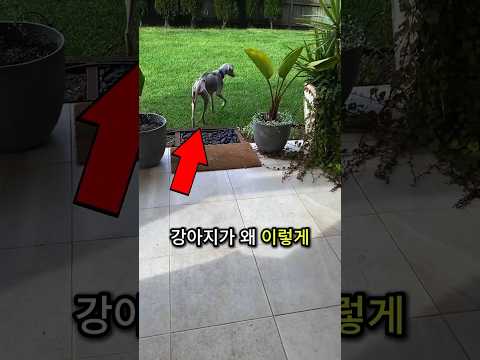 그들이 이렇게 해주기 전까지 그녀는 뼈만 앙상하게 남았었어요!😱❤️