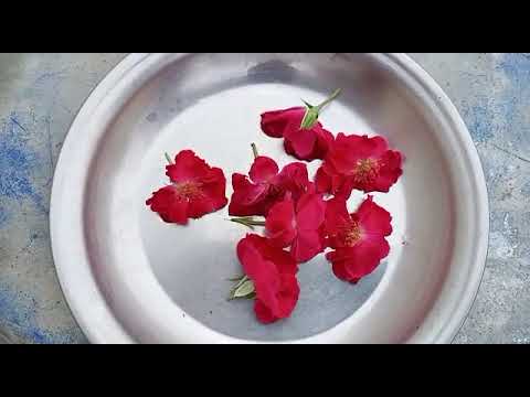 @naeem(9-11)(1 aur 1-eleven11-giyara) nature aur Naeem par fakhar aur naaz karnay walay Naeem k fans