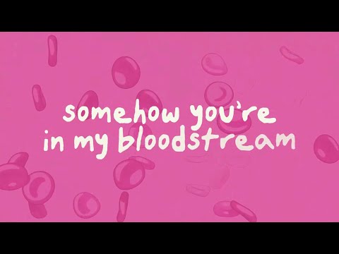 Who You Are - Jessica Baio