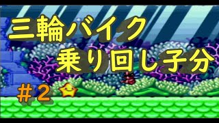 #2 スイッチにはない懐かしのヒトデゲーム【伝説のスタフィー２】