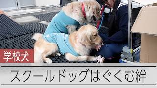 スクールドッグがはぐくむ子どもたちとの絆　全国に広がる学校犬