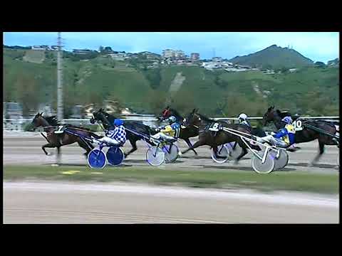 Napoli Trotto 23/04/2021 - 1ª corsa