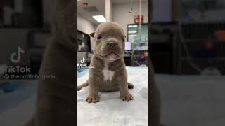 Download lagu 11 January 2023 mp3