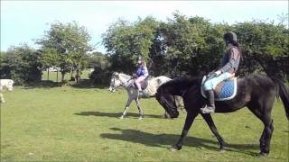 preview picture of video 'Christina Horse Riding Faughanvale Stables'